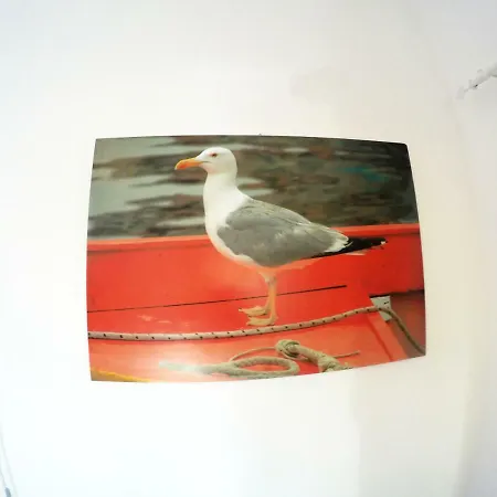 Sirene E Kallos Semesterbostad Procida